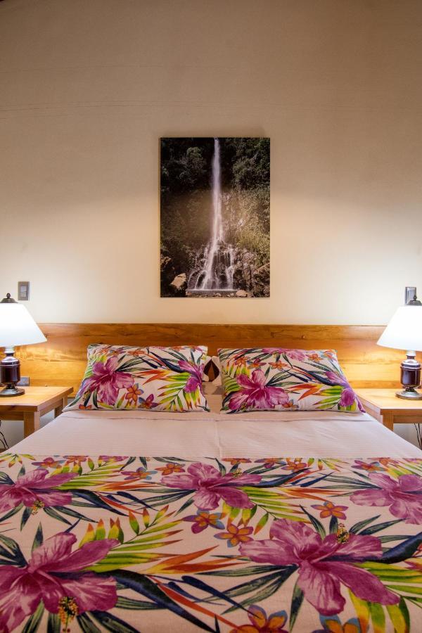 Hotel Valdivia Plaza Jardin Ngoại thất bức ảnh